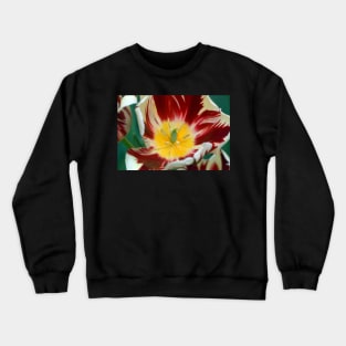 TULIP Crewneck Sweatshirt